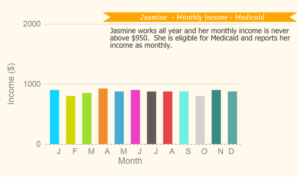 Example of Annual Income- Jasmine Marketplace